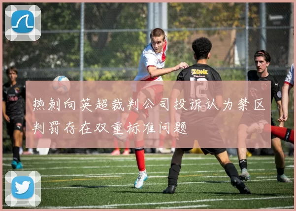 热刺向英超裁判公司投诉认为禁区判罚存在双重标准问题